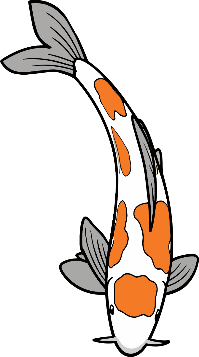 Koi — l’eredità giapponese della casa